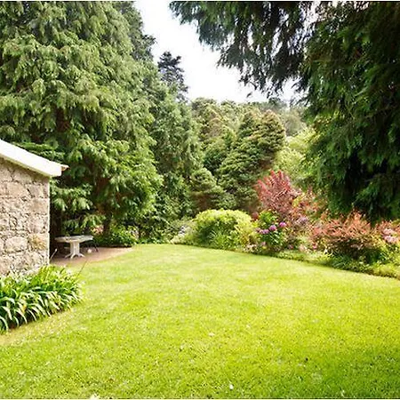 Ferienhaus Stunning Mountain