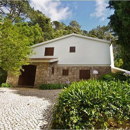 Ferienhaus Stunning Mountain *